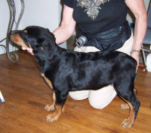babygirmaleaug15w.jpg